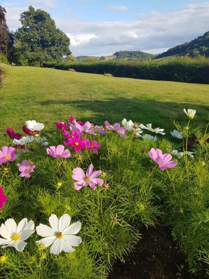 Eastwrey Barton Country House Lustleigh Buitenkant foto